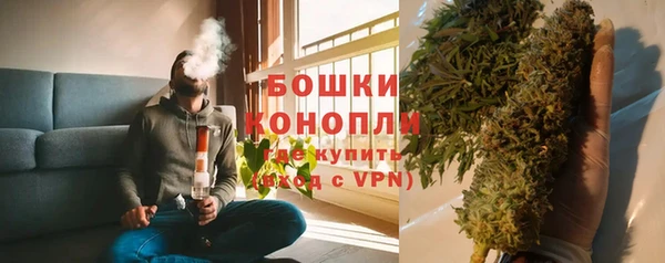 ГАЛЛЮЦИНОГЕННЫЕ ГРИБЫ Вяземский