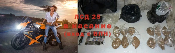 ГАЛЛЮЦИНОГЕННЫЕ ГРИБЫ Вяземский