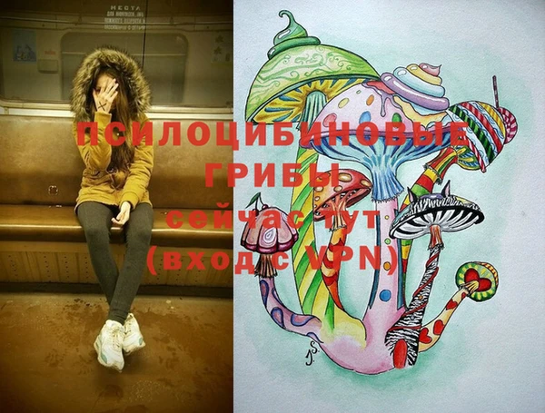 ГАЛЛЮЦИНОГЕННЫЕ ГРИБЫ Вяземский