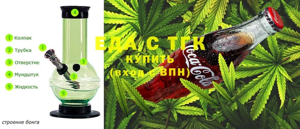 ГАЛЛЮЦИНОГЕННЫЕ ГРИБЫ Вяземский