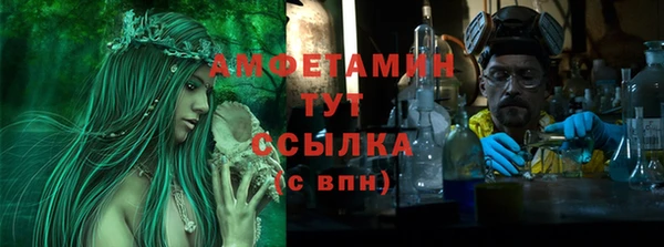 ГАЛЛЮЦИНОГЕННЫЕ ГРИБЫ Вяземский