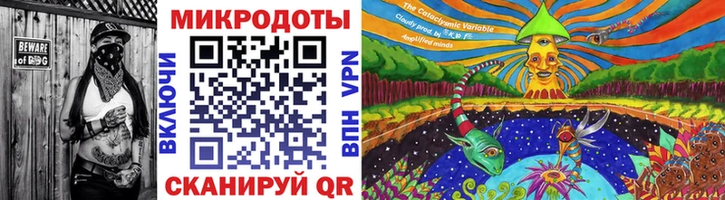 Купить закладки  Людиново  Галлюциногенные грибы MAGIC MUSHROOMS 